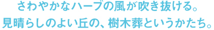 さわやかなハーブの風が吹き抜ける。見晴らしのよい丘の、樹木葬というかたち。