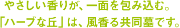 やさしい香りが、一面を包み込む。「ハーブな丘」は、風香る共同墓です。