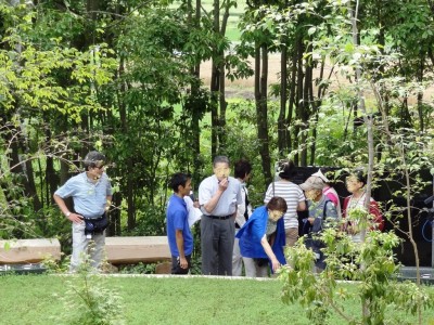 DSC09315 - コピー