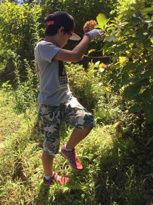 20637983_1446585058757459_1171570447878092614_n