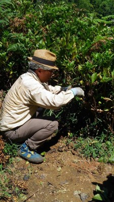 20638146_1446585062090792_7447864963092824967_n