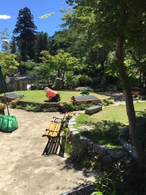 20638578_1446585065424125_1874439412870676519_n