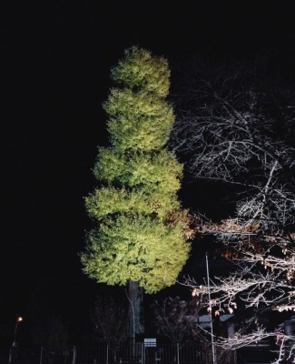 1512091651219 - コピー