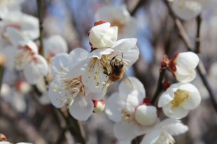 d5bb62df44e0ef0ceb5afa2d2a4d48e1-310x206