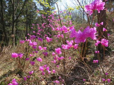 2019_0321_121153-IMG_0958